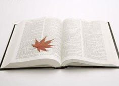 体育赛事角逐纷呈，火爆场面令人燃情