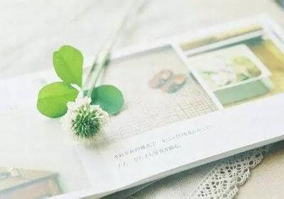 拜仁慕尼黑稳坐德甲榜首，盼望一鼓作气夺冠