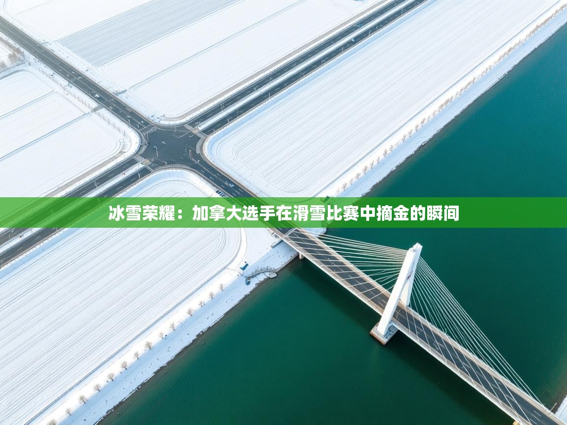 冰雪荣耀：加拿大选手在滑雪比赛中摘金的瞬间  第2张