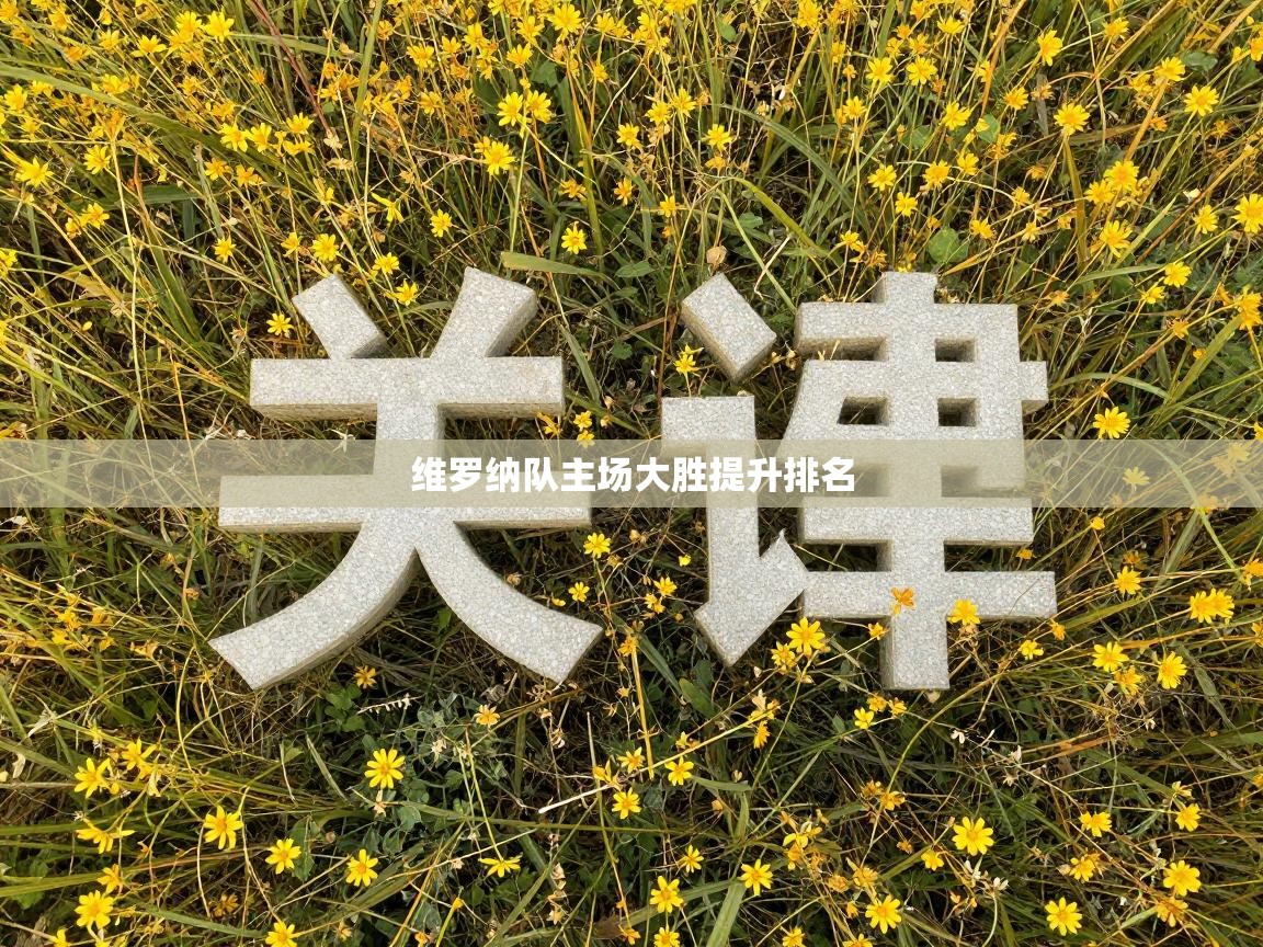 维罗纳队主场大胜提升排名  第2张
